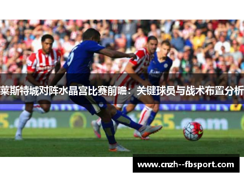 莱斯特城对阵水晶宫比赛前瞻：关键球员与战术布置分析