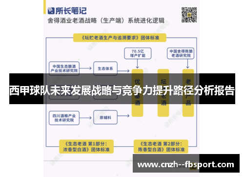西甲球队未来发展战略与竞争力提升路径分析报告